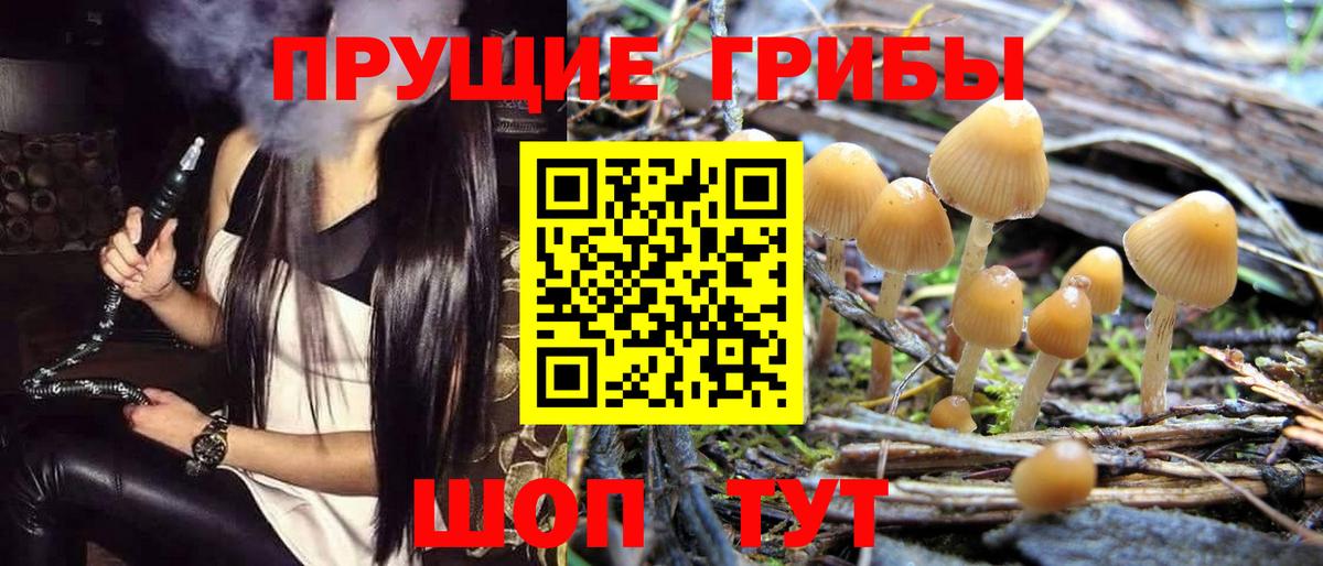 Псилоцибиновые грибы ЛСД  Вход с VPN  Галлюциногенные грибы Psilocybe  Гагарин 