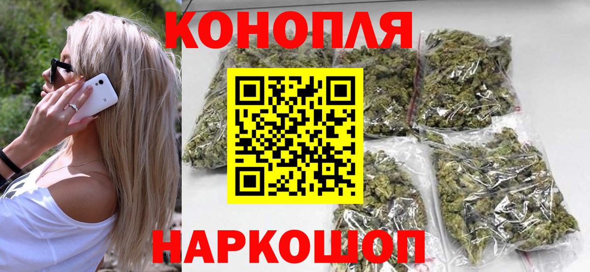 Конопля сатива Гагарин